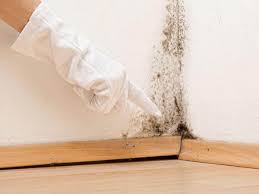 Best Mold Prevention Services  in Chesapeake Beach, MD